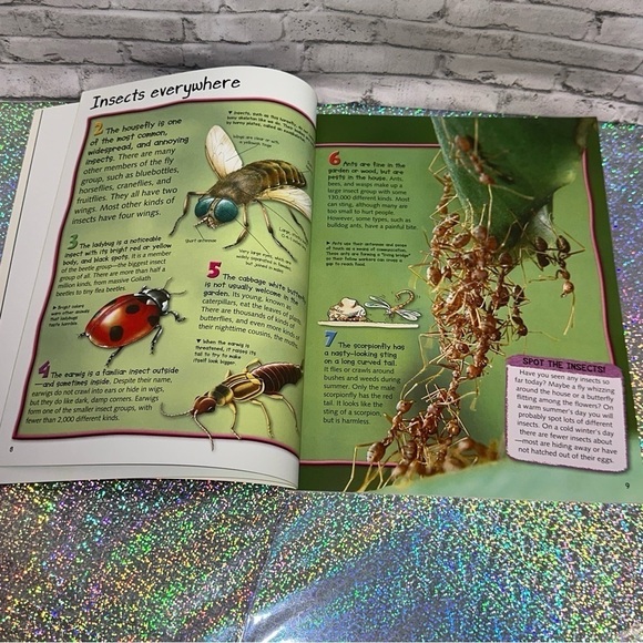 100 Facts BUGS Book Projects Quizzes Fun Facts Cartoons Miles Kelly Publishing - Picture 6 of 12